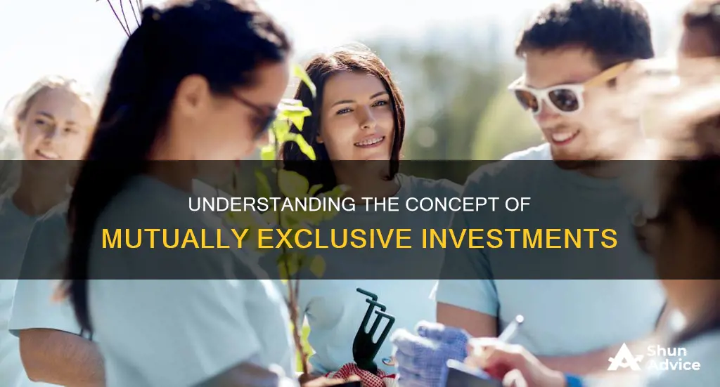 what does the term mutually exclusive investments mean