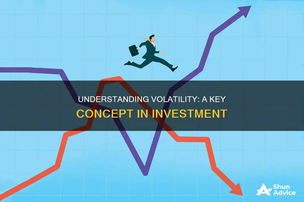 what does the term volatile mean when applied to investment