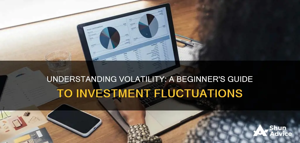 what does the term volatility mean when applied to investment