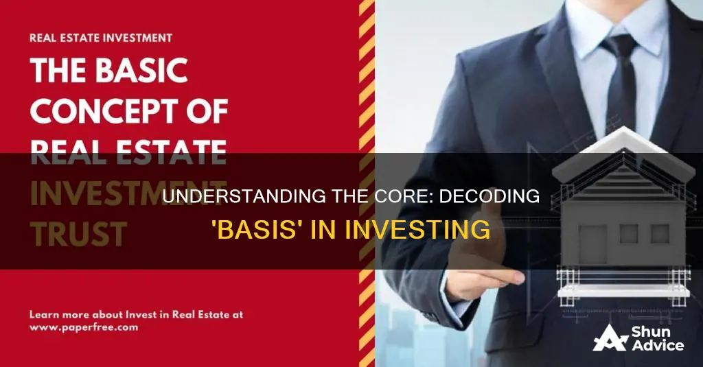 what does the terms basis mean in regards to investing