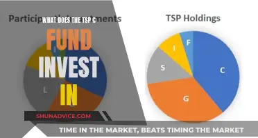 TSP C Fund: Where Your Money Goes