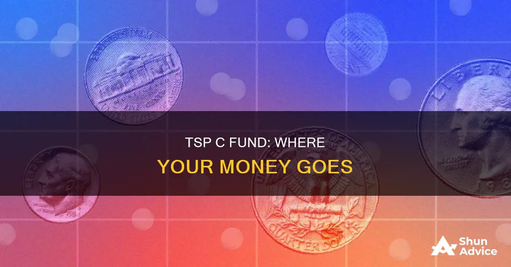 what does the tsp c fund invest in