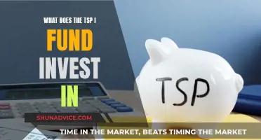 TSP I Fund: International Stocks for Retirement Savings