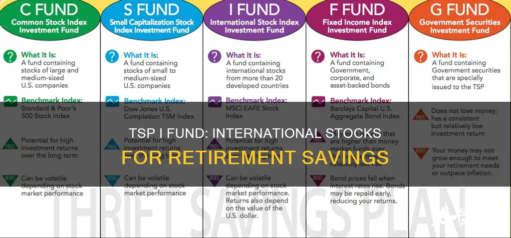 what does the tsp I fund invest in