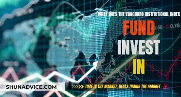 Vanguard Institutional Index Fund: Where Does It Invest?