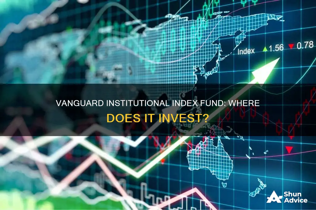 what does the vanguard institutional index fund invest in