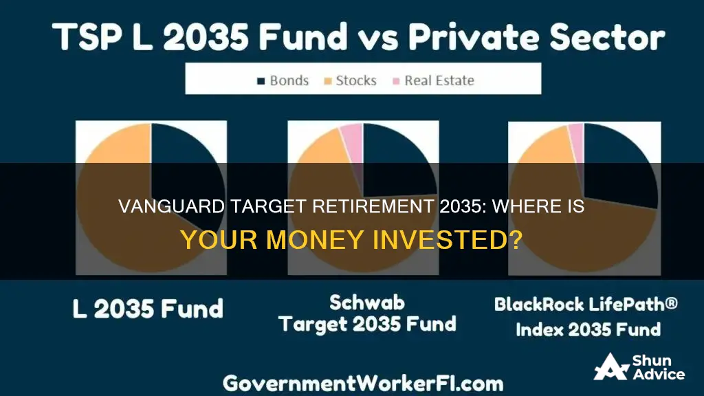 what does the vanguard target retirement 2035 fund invest in