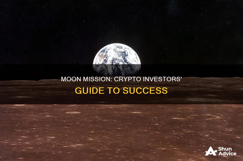 what does to the moon mean crypto investing