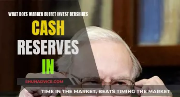 Warren Buffet's Berkshire Cash Reserves: Where Does it Go?