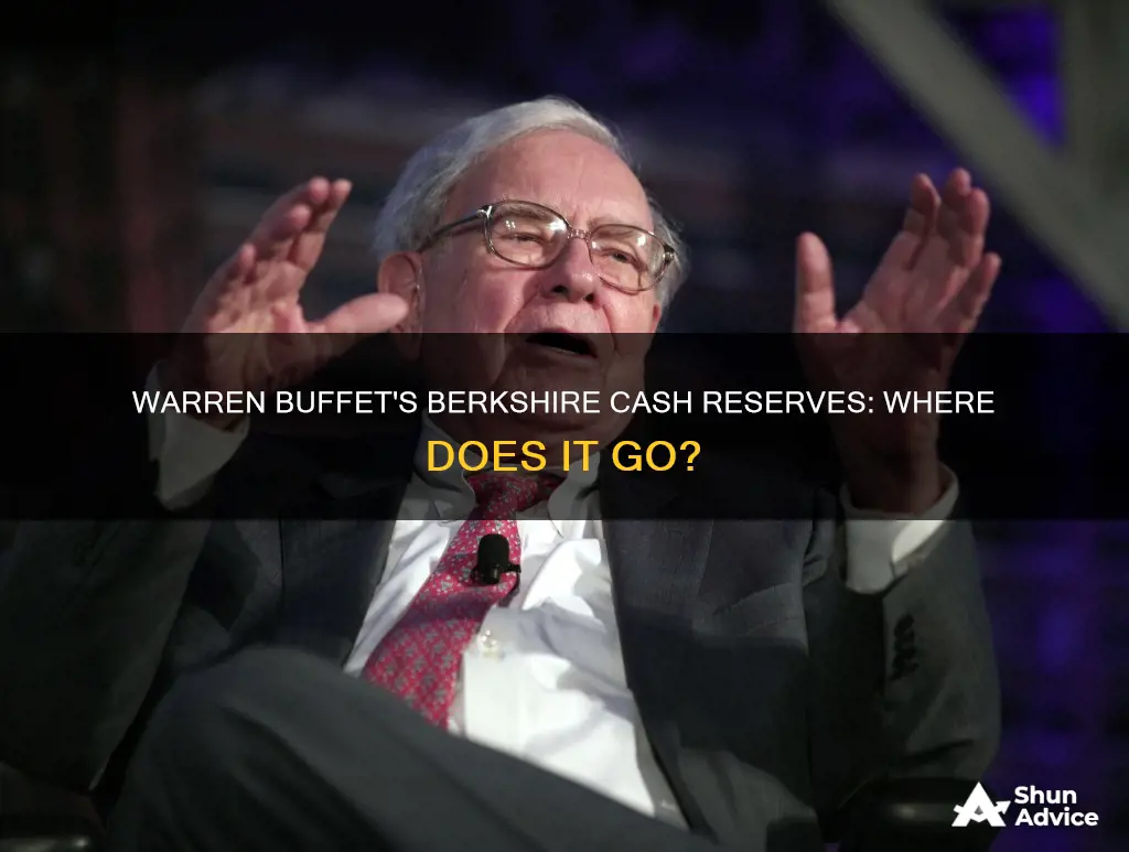 what does warren buffet invest bershires cash reserves in