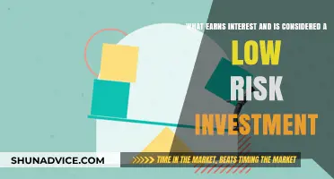 Safe and Simple: Low-Risk Investments That Earn Interest