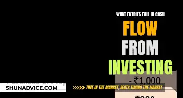 Understanding Investment Cash Flow Entries and Their Impact