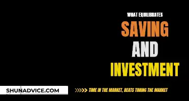 Savings-Investment Equilibrium: What's the Balancing Act?