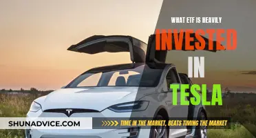 Tesla's Biggest ETF Backers: Who's Investing?