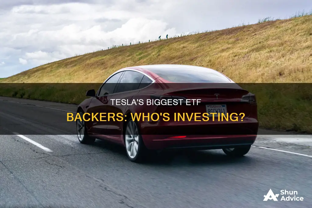 what etf is heavily invested in tesla