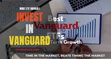 Best Vanguard ETFs: Top Picks for Your Portfolio