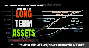 Uncovering Major Investments: Understanding Long-Term Asset Expenditures