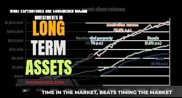 Unraveling Major Investments: Understanding Long-Term Asset Expenditures