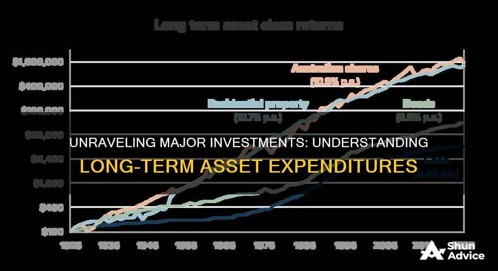 what expendtures are considered major investments in long term assets