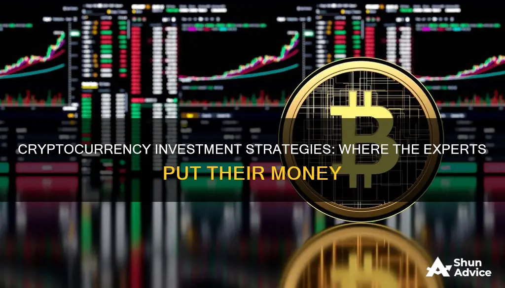 what expert of cryptocurrency are investing in