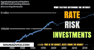 Understanding Interest Rate Risk: Key Factors for Investment Decisions