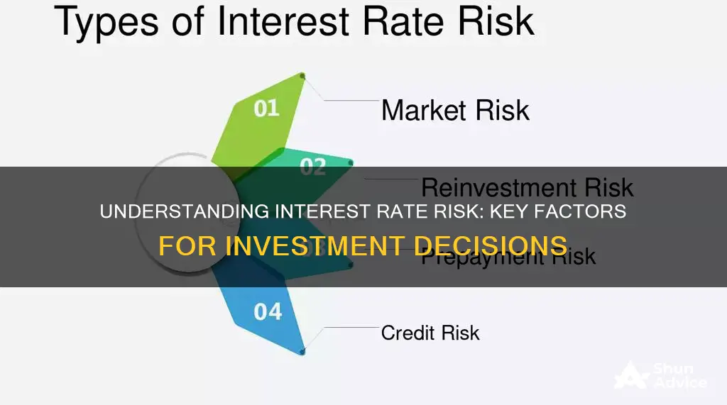 what factors determine the interest rate risk investments