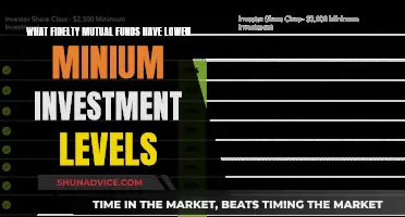 Fidelity's Low-Minimum Mutual Funds: Best Investment Options