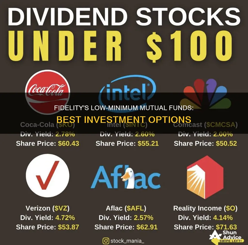 what fidelty mutual funds have lower minium investment levels