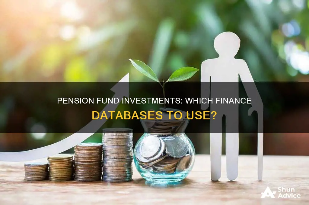 what finance databases have pnesion fund investments