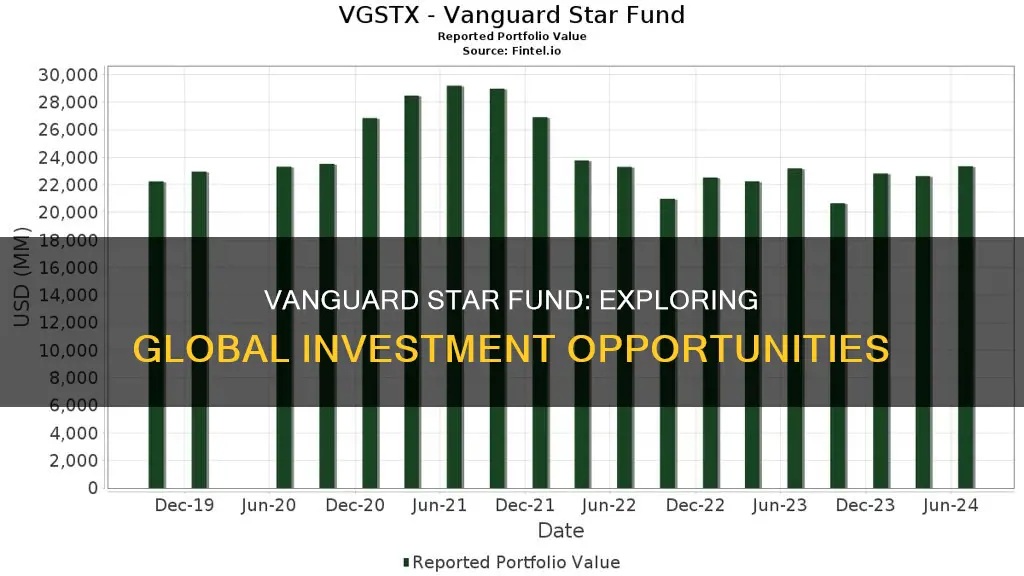 what foreign country does vanguard star fund invest in