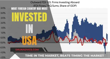 Foreign Investment: Top Country's Massive Investment in the USA