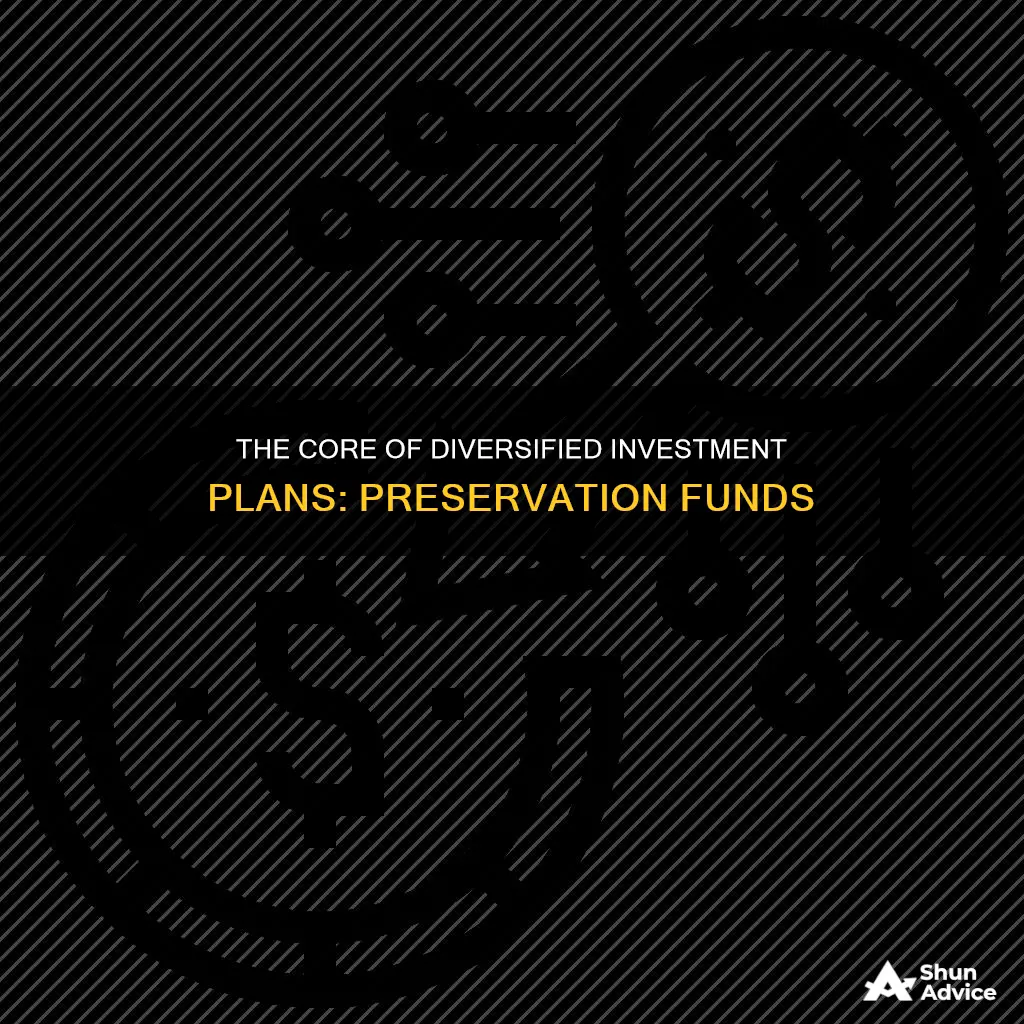 what forms the foundation of diversified investment plan preservation funds