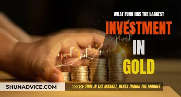 Gold Rush: Largest Investments in the Precious Metal