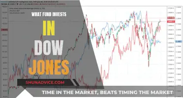 Dow Jones Index Funds: How to Invest