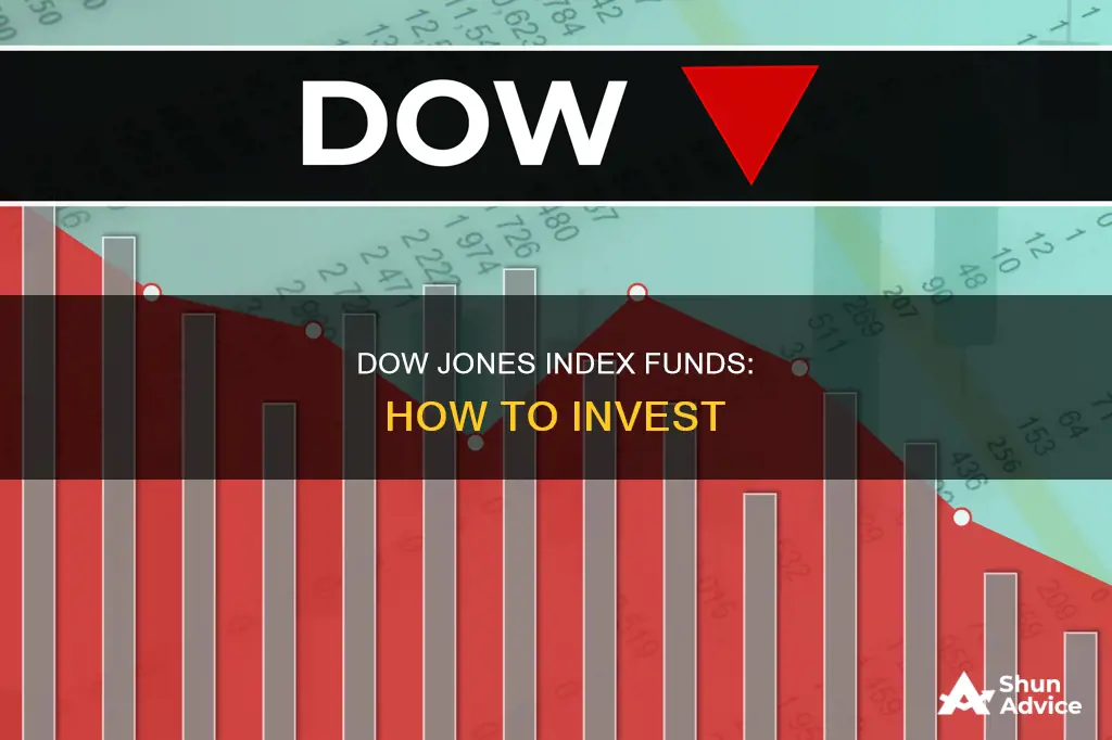 what fund invests in dow jones