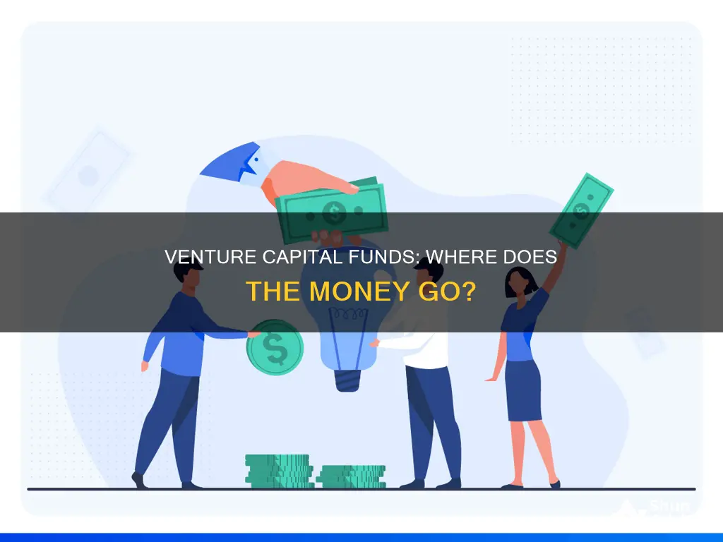 what funds capital venture invest in