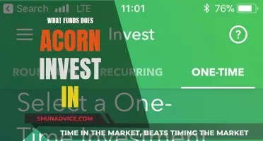 Acorn's Investment Strategies: Funds and Portfolios