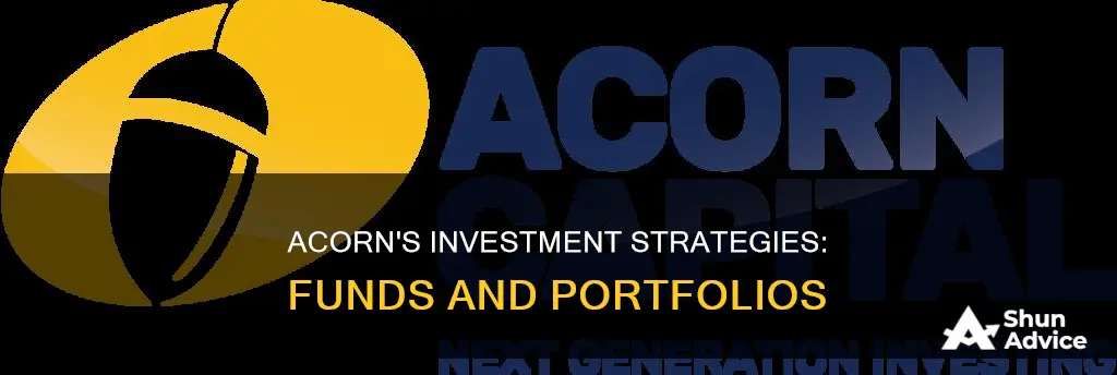 what funds does acorn invest in