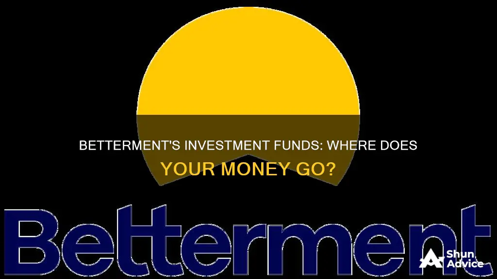 what funds does betterment invest in