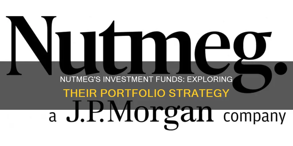 what funds does nutmeg invest in