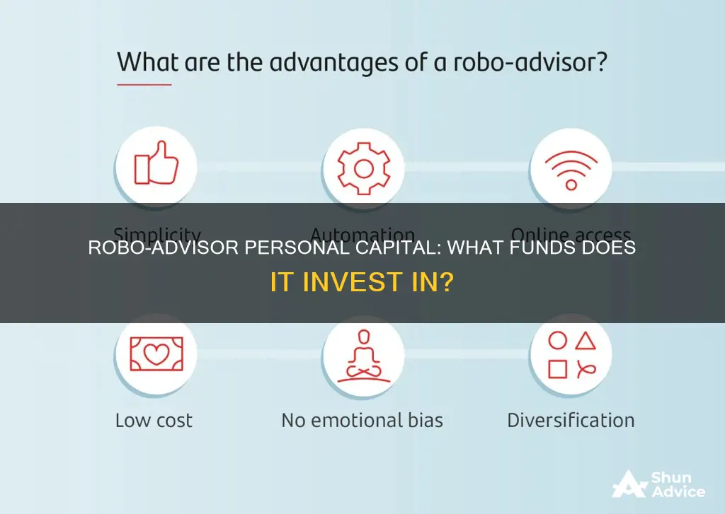 what funds does personal capital robo invest in