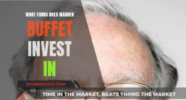 Warren Buffet's Investment Funds: Where Does He Invest?