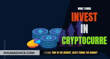 Explore Crypto Investment Funds: Your Guide to Getting Started