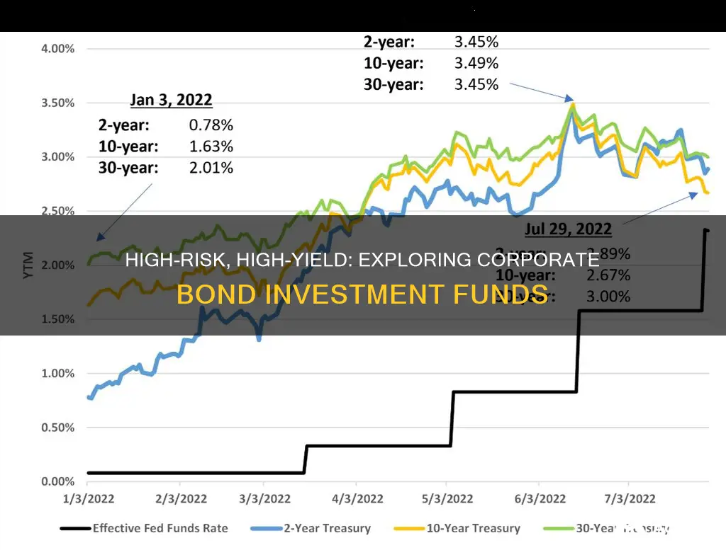 what funds invest in high yield high risk corporate bonds