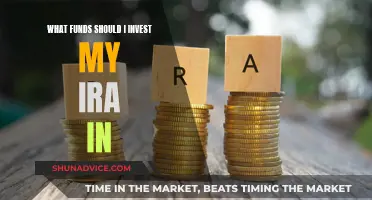 IRA Investment: Choosing the Right Funds for Your Future