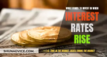 Investing in Volatile Markets: Funds for Rising Interest Rates