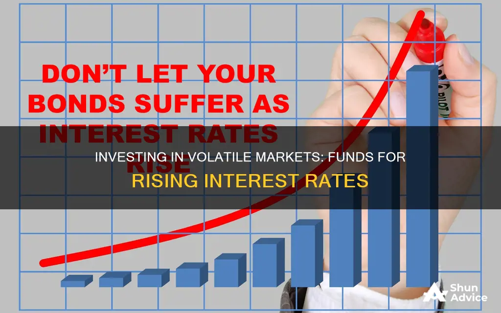 what funds to invest in when interest rates rise