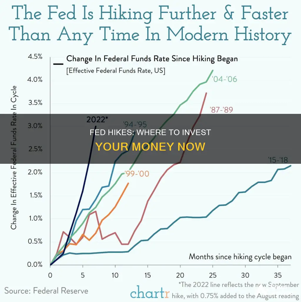 what funds to invest with fed hikes