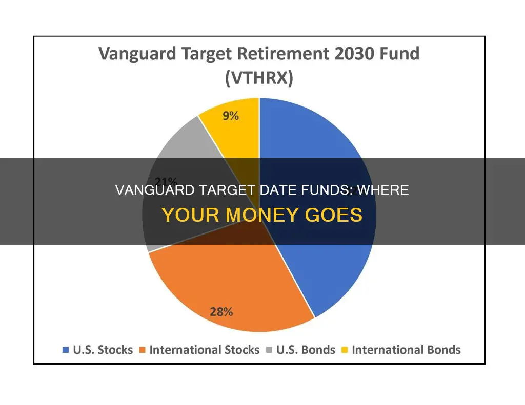 what funds to vanguard target date funds invest into