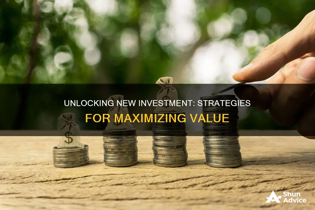 what funds value-maximizing level of new investment